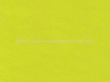 Porsche Nappa acidgreen Farbmuster