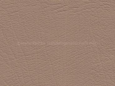 BMW Bison natur Farbmuster