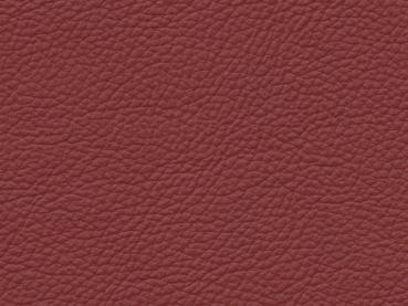 Basis for BMW taninrot color sample