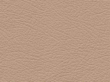 Basis for BMW/MB java/sandbeige color sample