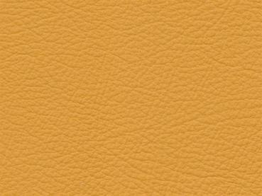 Basis for BMW maisgelb color sample