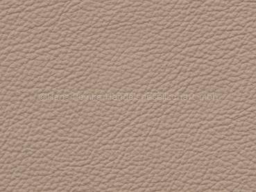 Basis for BMW hellbeige color sample