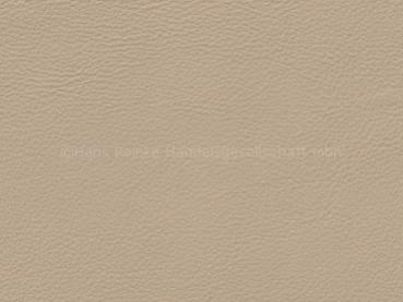 Audi FN samtbeige Farbmuster