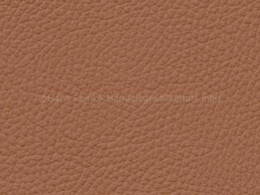 Basis für Audi cognac - Kopie - Kopie - Kopie Farbmuster