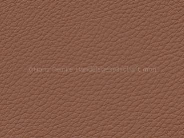 Basis for BMW Dakota sattelbraun SA color sample