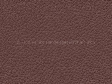 Basis for BMW zimtbraun color sample