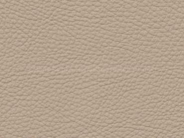 Basis für BMW venetobeige/veneto beige Dakota Farbmuster