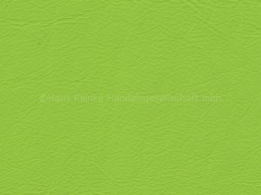 Lamborghini Nappa verde ulysses Farbmuster