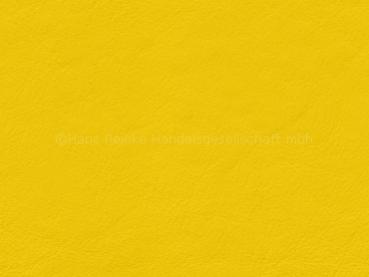 Lamborghini Nappa giallo taurus Farbmuster