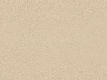 Lamborghini avorio lilium Farbmuster