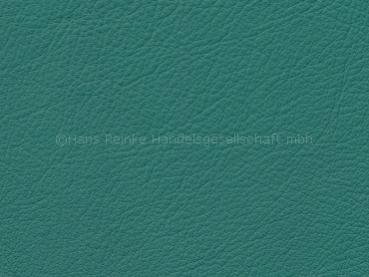 Semi H cactus color sample