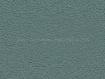 Semi H agave color sample