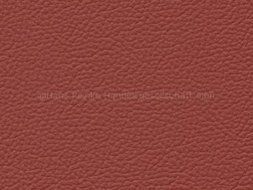 Simply Leather Einfach Leder cayenne Farbmuster