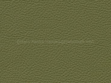 Simply Leather Einfach Leder koriander Farbmuster