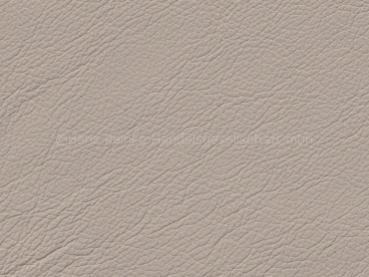 Standard ecrue color sample