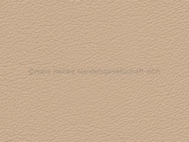 Standard beige color sample