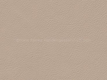 Standard pergament color sample