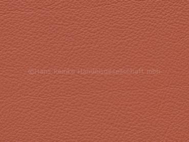 Standard korallenrot color sample