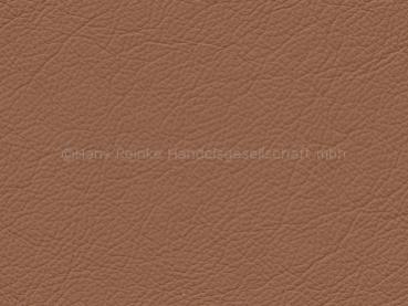 Standard lehm color sample