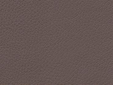 Basis for BMW Dakota trüffelbraun color sample