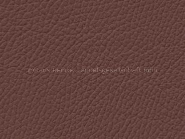 Basis for BMW Dakota terra color sample