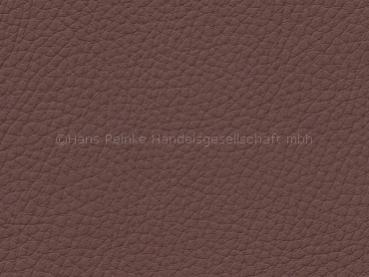 Basis for BMW Dakota terra SA color sample