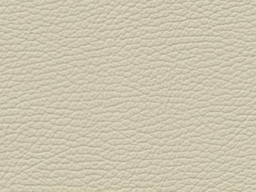 Basis für BMW Dakota lemon Farbmuster