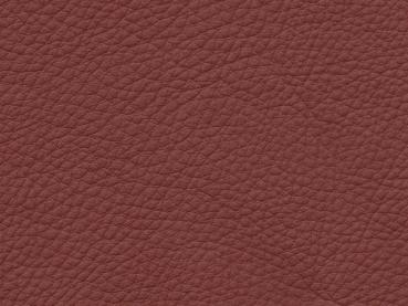 Basis für BMW Dakota rotbraun Farbmuster