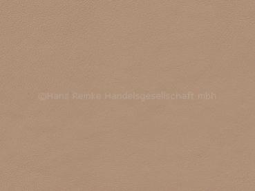 Bentley FN camel Farbmuster