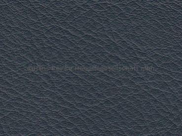 DB blau 5000 Kopffärbung vegetabil Farbmuster