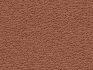 Basis für BMW Ambiente terracotta Farbmuster