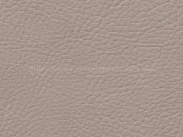 Skai Sotega FLS birke 150 cm  30 lfm pro Rolle Farbmuster