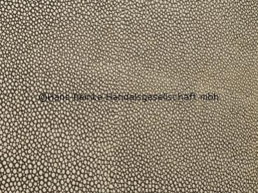 Skai Soshagro EN choco-cream 150 cm  30 lfm pro Rolle Farbmuster