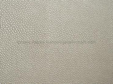 Skai Soshagro EN pearl 150 cm 30 lfm pro Rolle Farbmuster