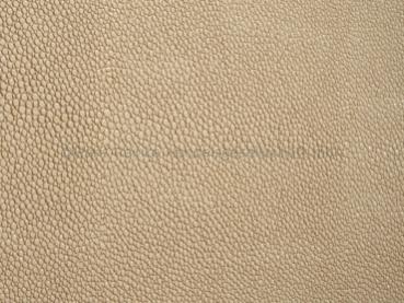 Skai Soshagro EN beige 150 cm 30 lfm pro Rolle Farbmuster