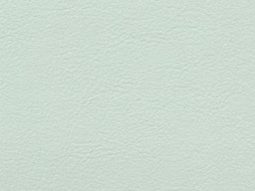 Skai Neptun-Caleri lightgreen 140 cm  30 lfm pro Rolle Farbmuster