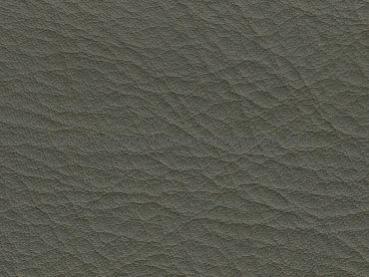 DB grün (helloliv) Kopffärbung vegetabil Farbmuster