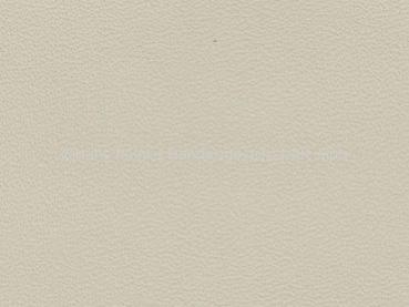 Basis for Lamborghini Nappa bianco polar color sample