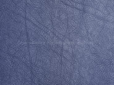 Skai Evida royal 137 cm  30 lfm pro Rolle Farbmuster