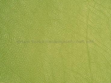 Skai Evida lime 137 cm  30 lfm pro Rolle Farbmuster