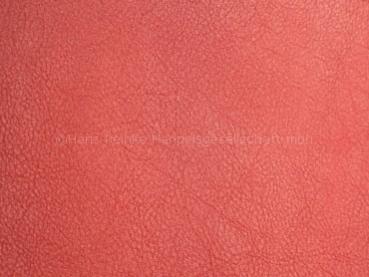 Skai Evida fire 137 cm  30 lfm pro Rolle Farbmuster