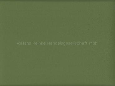 Skai Evida cactus 137 cm  30 lfm pro Rolle Farbmuster