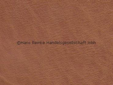 DB cognac-2-Ton Kopffärbung vegetabil Farbmuster