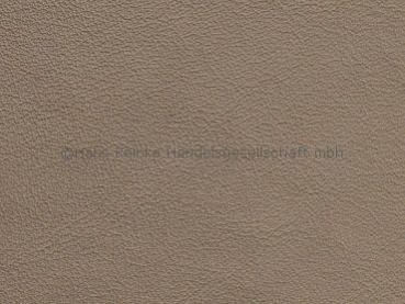 DB beige (neu) Kopffärbung vegetabil Farbmuster