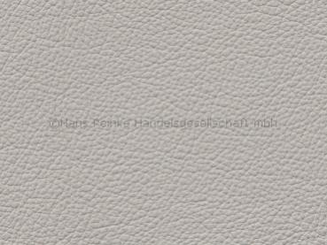 Royal hellgrau Farbmuster