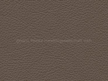 Royal schlamm Farbmuster