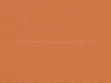 Royal orange Farbmuster