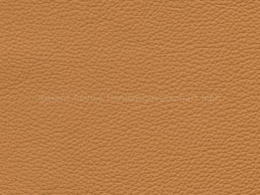 Royal gold Farbmuster