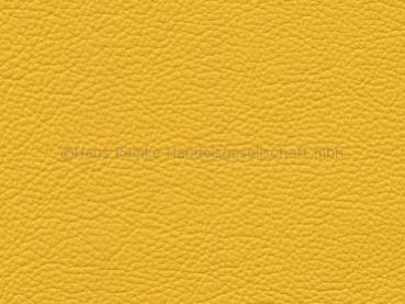 Royal yellow Farbmuster