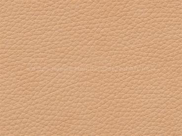 Prince camel 140 cm  30 lfm pro Rolle Farbmuster